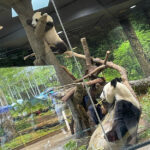 シャオシャオとママ