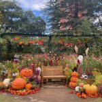 秋の都内をバス旅