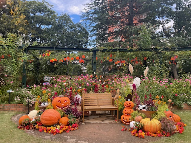 秋の都内をバス旅